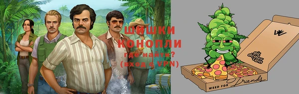 крисы Покачи