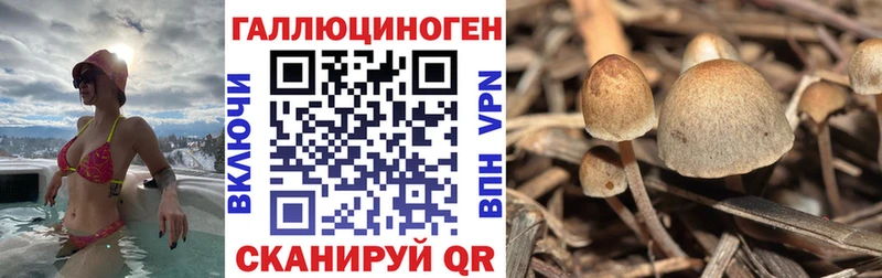 Псилоцибиновые грибы мухоморы  где продают наркотики  Тутаев 