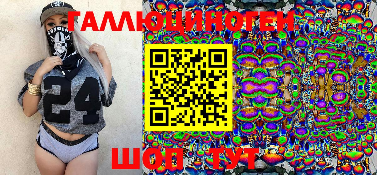 Псилоцибиновые грибы Psilocybe  Вход с VPN  Тутаев  Псилоцибиновые грибы Psilocybe 