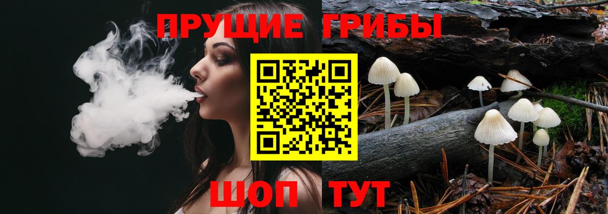 Псилоцибиновые грибы Psilocybe Тутаев