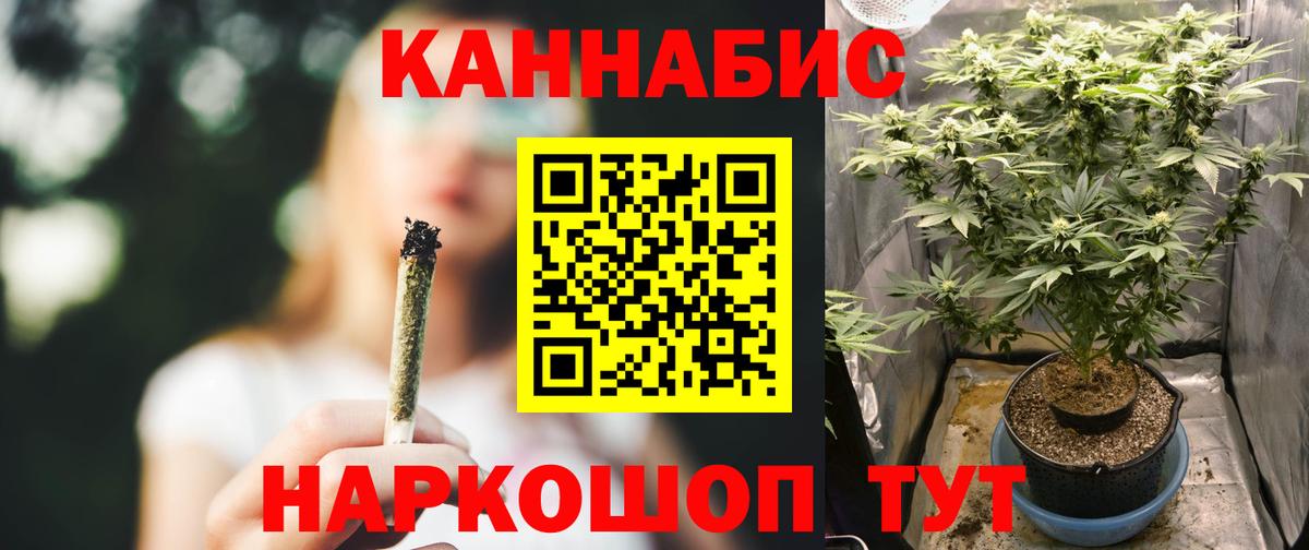 Бошки марихуана гибрид  Вход с VPN  Бошки марихуана White Widow  Тутаев 